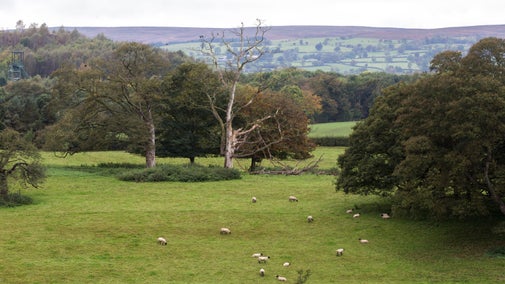 The parkland at Erddig, Wrexham, in autumn.